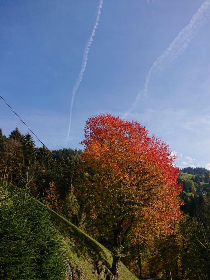 Apart Pfister Aschau Im Zillertal Zewnętrze zdjęcie